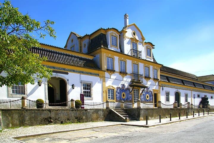 Private Full-Day Tour from Lisbon to Setúbal Peninsula image 3