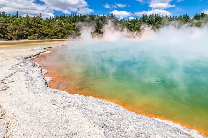 From Auckland: Wonders of Rotorua and Waitomo Tour