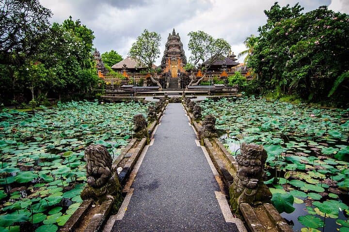 Visite privée d'Ubud à Bali : culture, nature et patrimoine image 3
