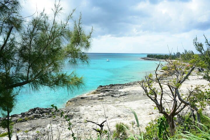 Felicidad privada en la playa de Nassau: arenas suaves y vibraciones del océano imagen 4