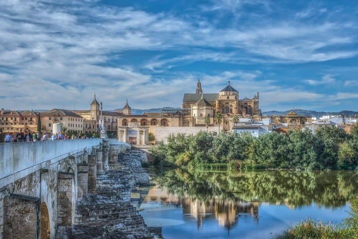 Private day tour to Córdoba