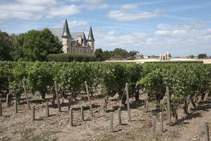 Paseo privado de Burdeos a Médoc a castillos icónicos imagen 6