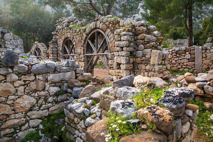 From Antalya: Phaselis, Olympos and Chimera Flames Private Tour image 6