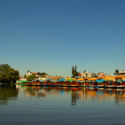 Xochimilco en trajinera y visita a la UNAM imagen 2