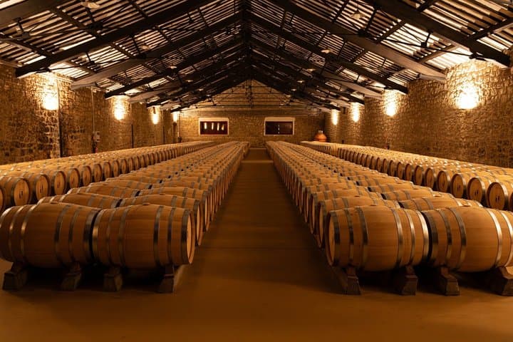 Excursión privada de un día a la región vinícola de Rioja desde Bilbao