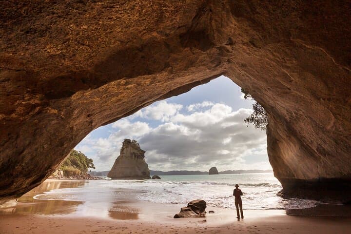 Lo más destacado del tour privado de Auckland a Coromandel, playa y cala imagen 6
