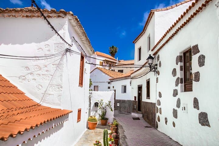 Visite privée des meilleures villes rurales de Gran Canaria image 5