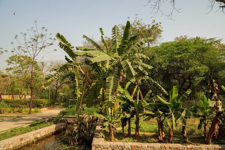 Tour privado de Delhi mogol imagen 2