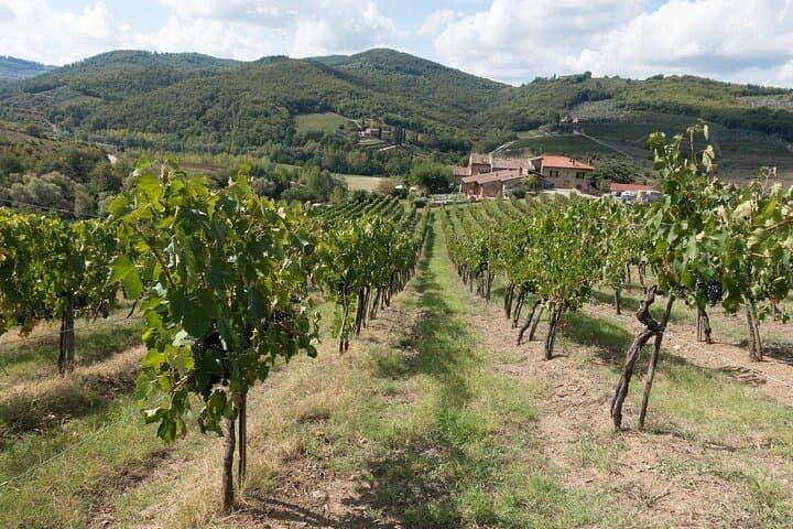 Day trip from Rome to Tuscany image 5