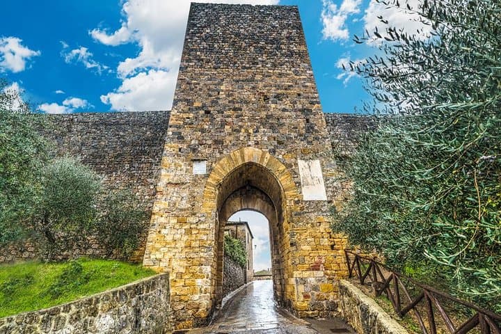 Chianti y sus castillos desde Siena con cata imagen 3