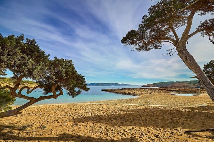 Tour privado por las playas de Ibiza en Cala Comte Cala Bassa y más imagen 6
