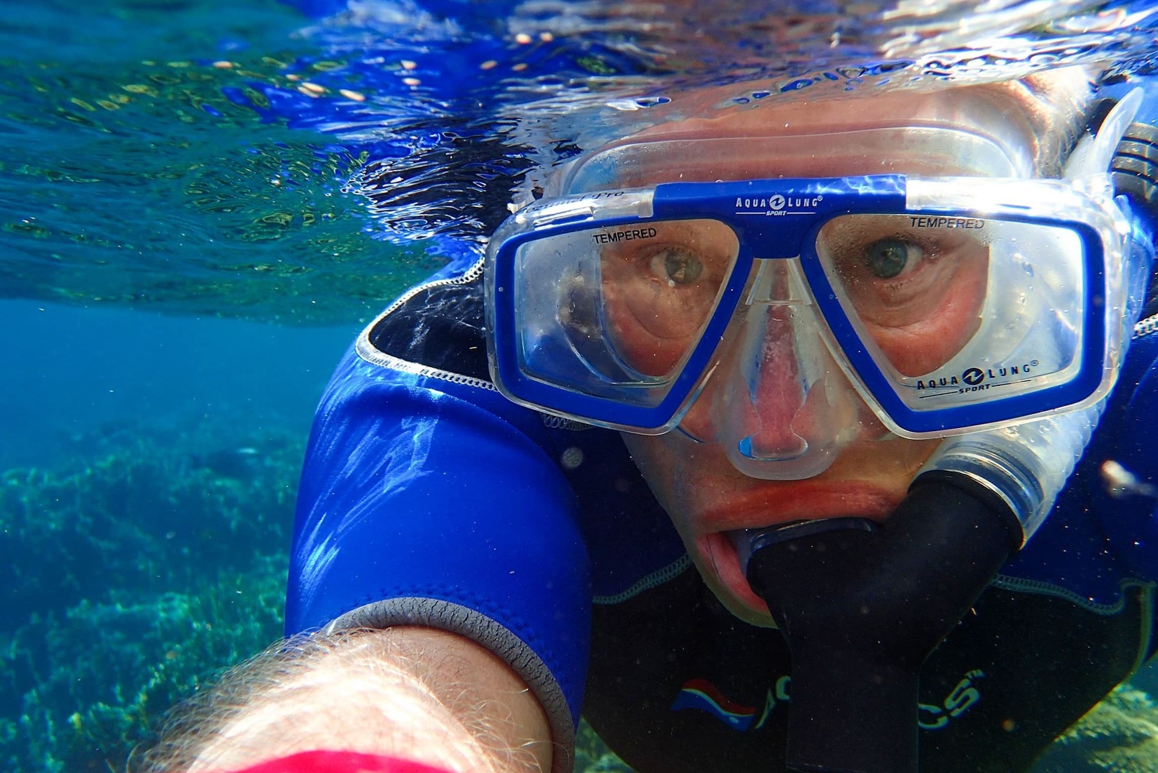 Aventura de snorkel junto a una isla en Miami imagen 5