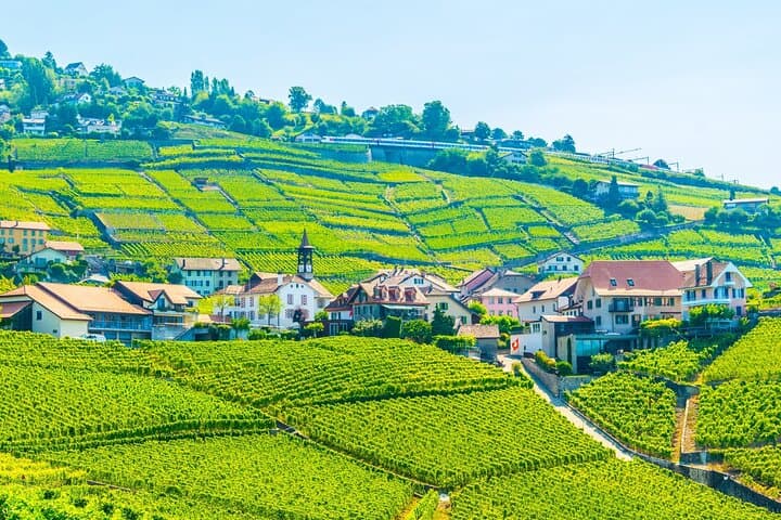 Excursión privada de un día desde Ginebra a Lausana y viñedos de Lavaux imagen 3