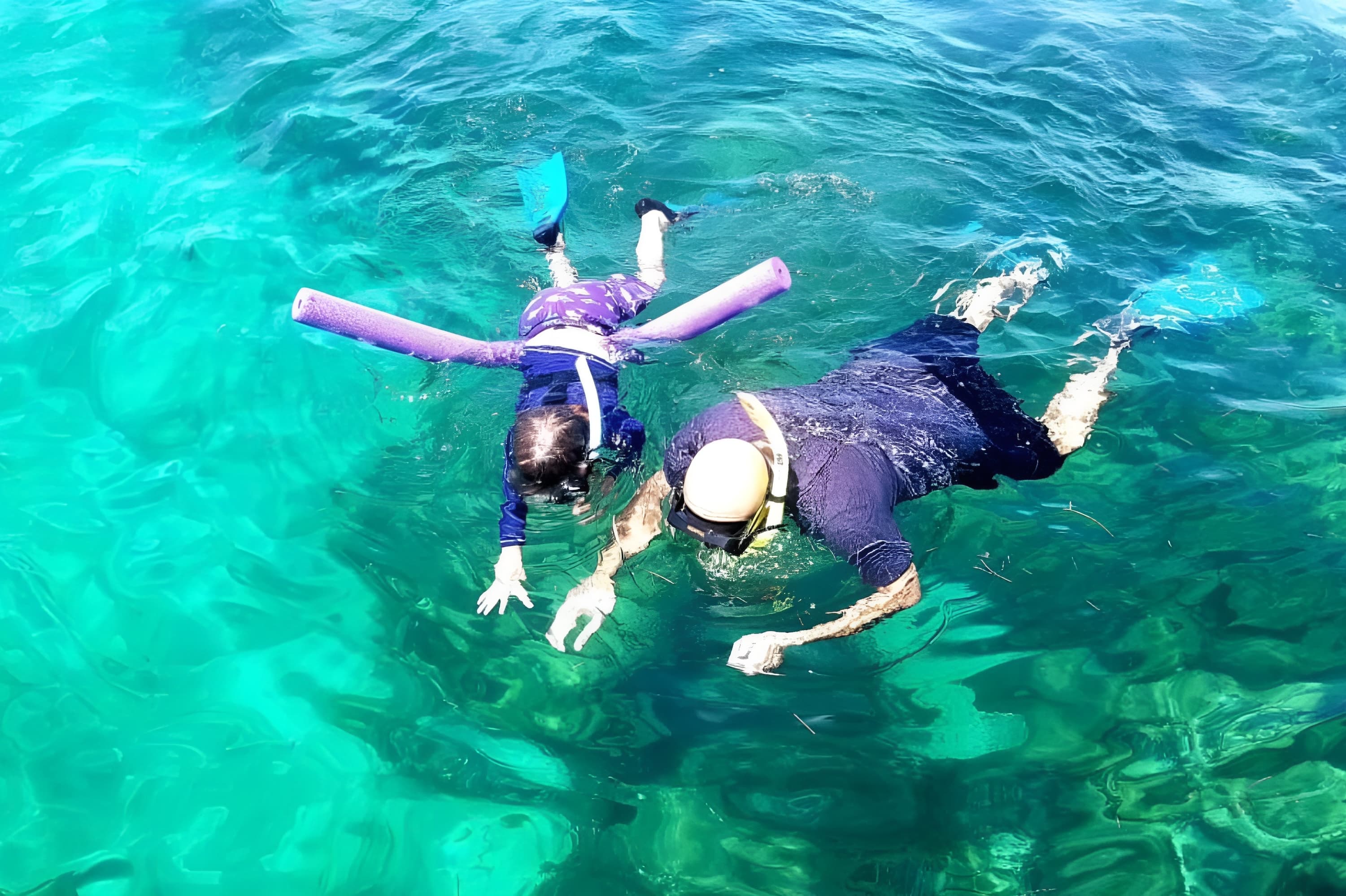 Aventura de snorkel junto a una isla en Miami imagen 1