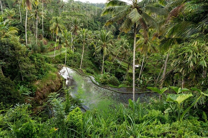 Visite culturelle privée des temples sacrés et de l'artisanat de Bali image 3