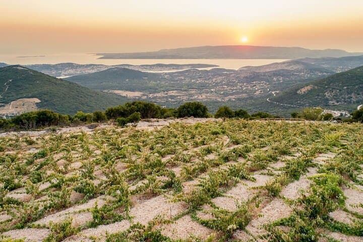 Kefalonia in a glass: wine and stunning views on a private tour image 6