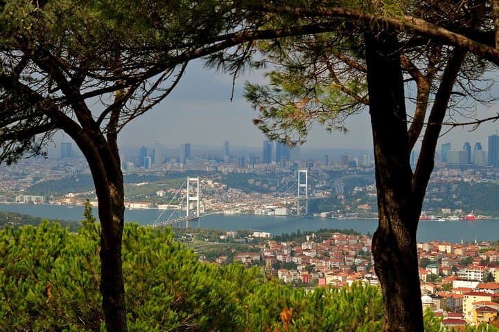 Traversez le Bosphore et explorez la partie asiatique d'Istanbul comme un local image 6