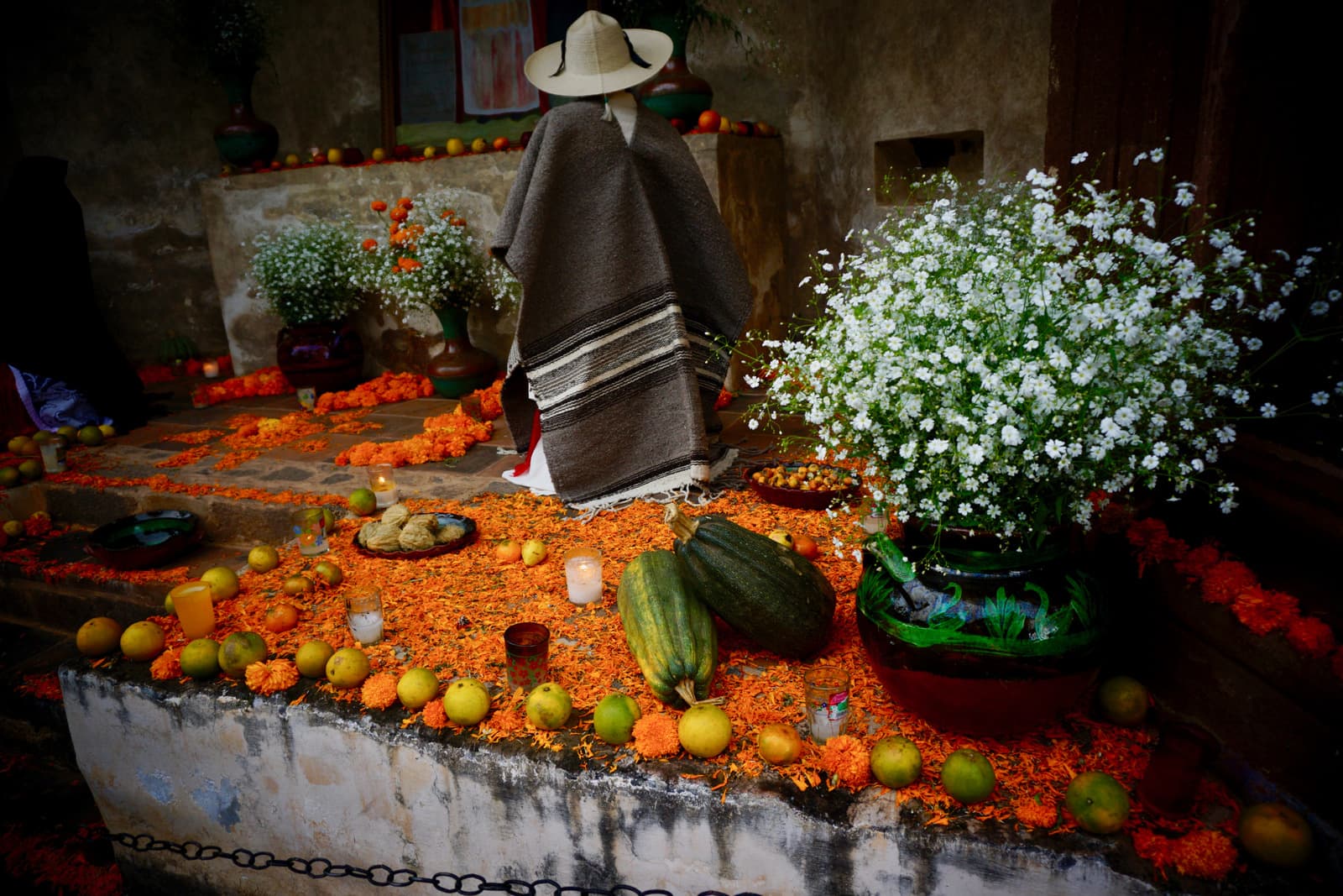 From Mexico City: Mixquic Day Of The Dead Celebrations image 5