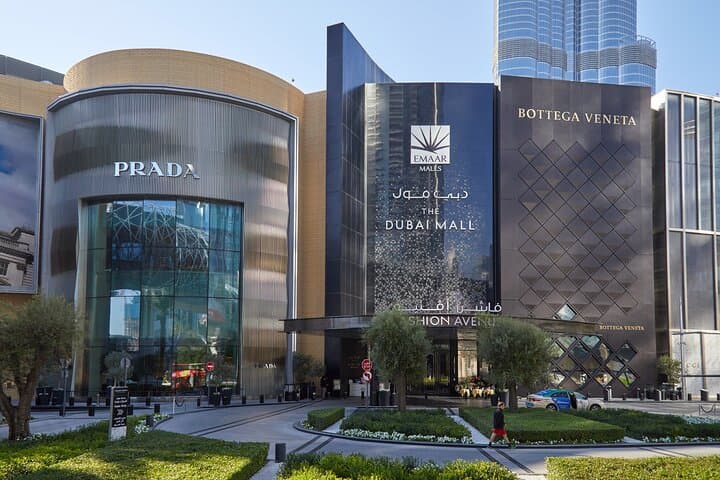 Dubái: visita turística privada personalizable de día completo imagen 6