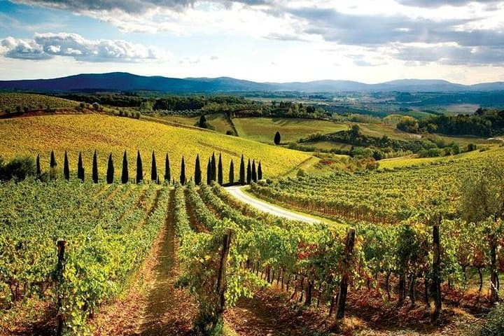 Chianti Bike Tour from Florence image 3