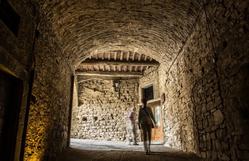 Chianti y sus castillos desde San Gimignano con catas imagen 2
