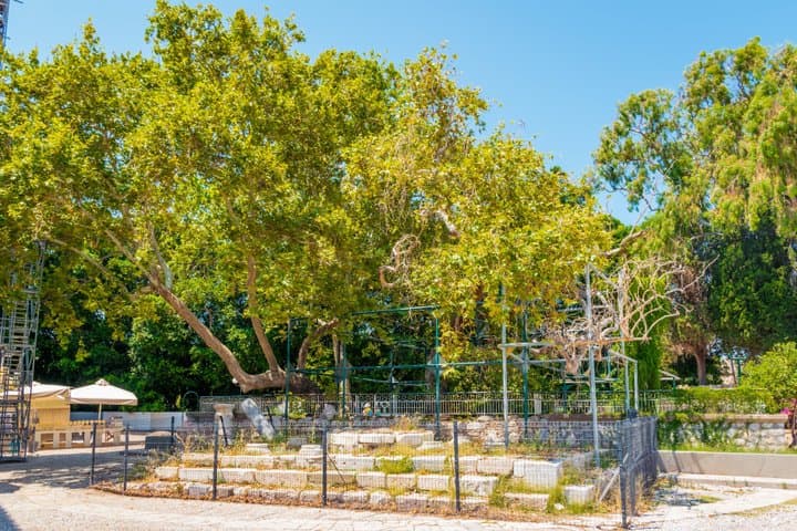 Visita turística privada totalmente personalizable a Kos imagen 5