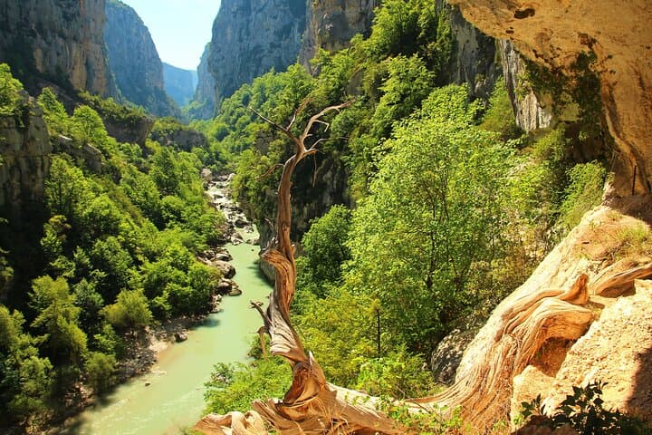 Private Tour to Lavender Fields and Verdon Gorge from Nice image 5