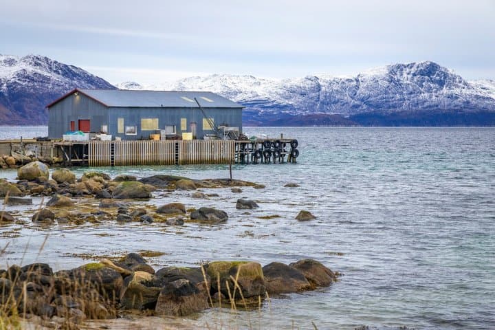 Tour panorámico privado por los fiordos de Kvaløya y Ersfjordbotn desde Tromso imagen 4