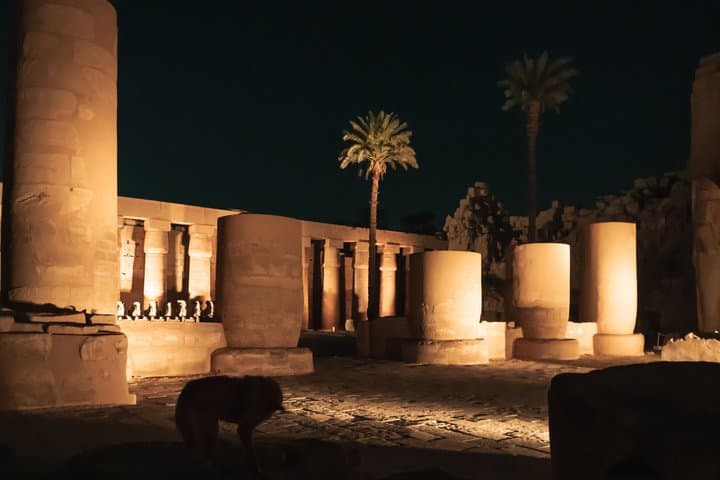 Tour nocturno privado de Luxor Vistas iluminadas de la ciudad imagen 3