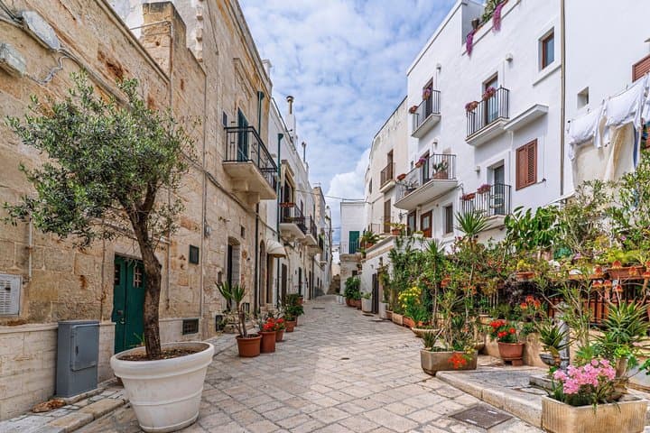 Tour privado desde Bari en Alberobello y Polignano a Mare imagen 6