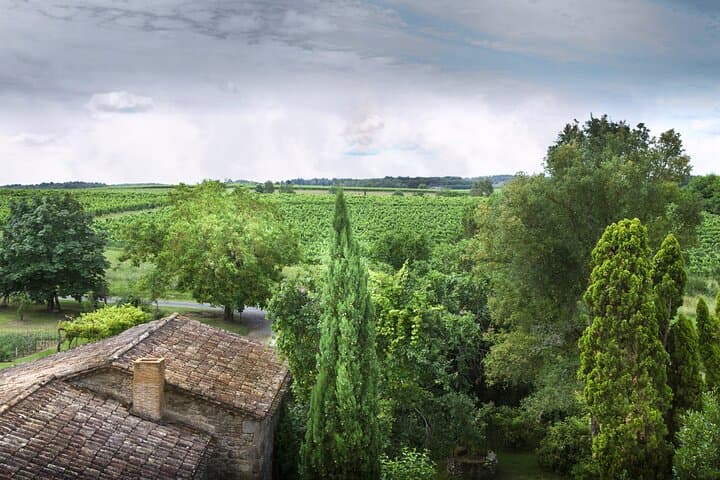 Desde Burdeos: excursión de un día al pueblo y al vino de Saint‑Émilion imagen 6