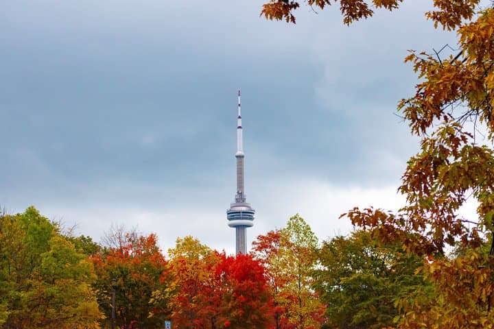 Visite des points forts, des monuments et des sites touristiques de la ville privée de Toronto image 4