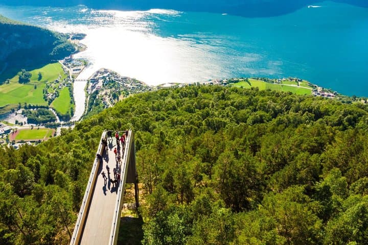 Tour privado al fiordo Sognefjord desde el fiordo icónico de Oslo en Noruega imagen 6
