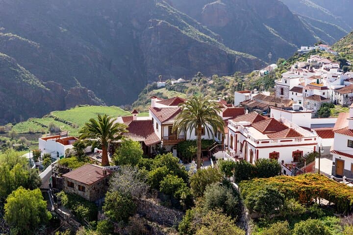 Safari Aventura: Descubre el Corazón Salvaje de Gran Canaria imagen 4