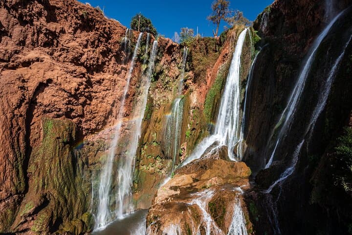 Visite privée des montagnes de l'Atlas et des chutes d'Ouzoud au départ de Marrakech image 6
