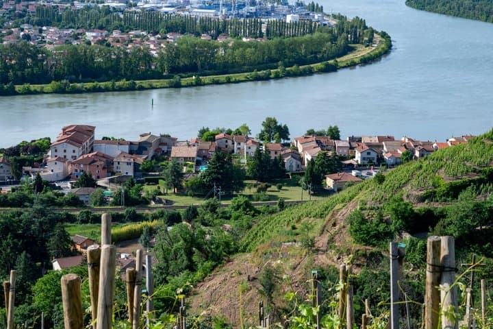 Private Lyon Wine Day Tour in the Northern Rhône Valley image 3