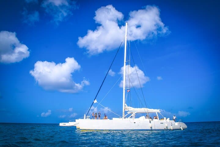 De Saint-Domingue : excursion en catamaran sur l'île Saona avec déjeuner et bar image 2
