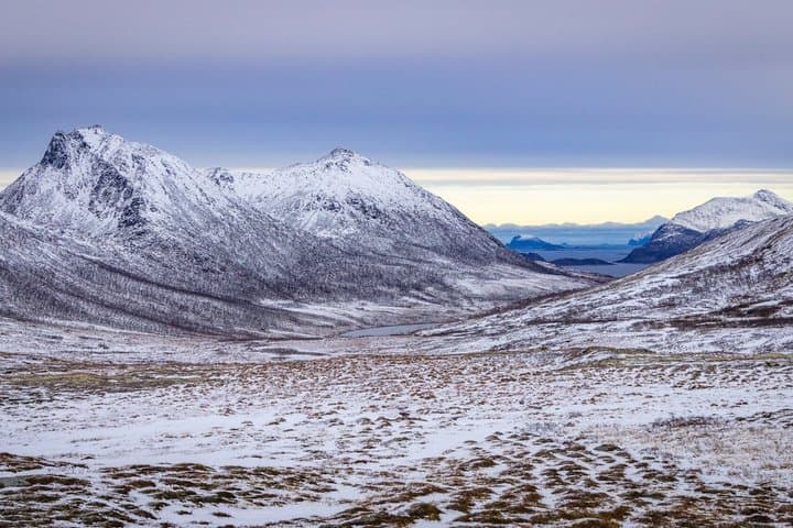 Tour panorámico privado por los fiordos de Kvaløya y Ersfjordbotn desde Tromso imagen 1