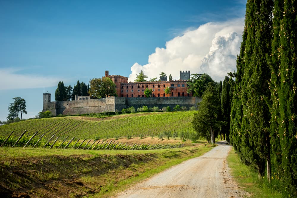 Cooking Class & Wine Tasting in a Chianti Farm image 6
