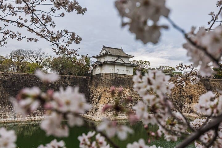 Visite touristique privée de Tokyo image 4
