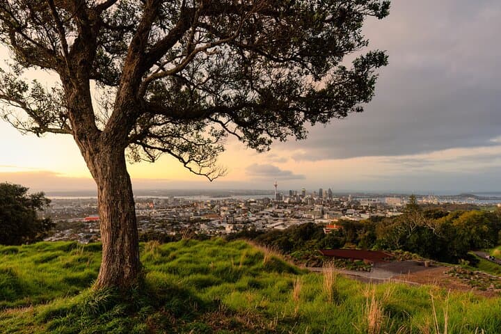 Auckland essentials: city views, volcanoes and waterfront charm image 4