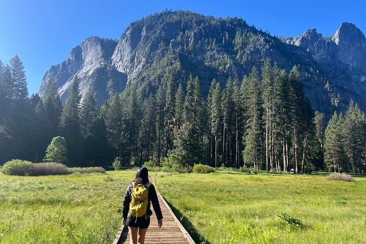 Tour privado de día completo al Parque Nacional Yosemite desde San Francisco imagen 2