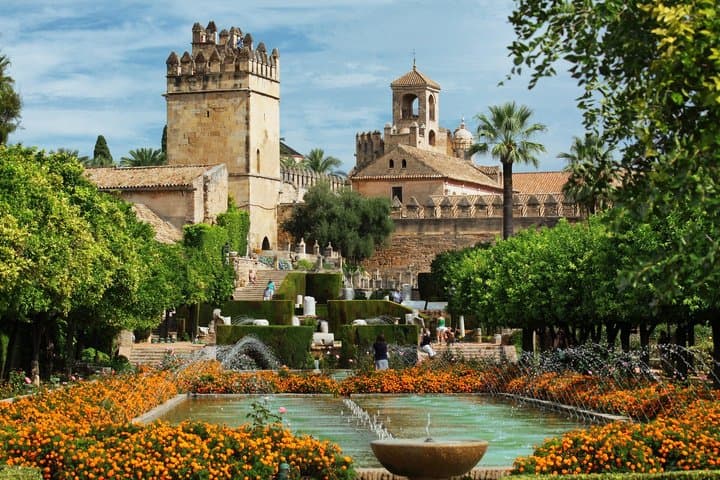 Private day tour to Córdoba image 6