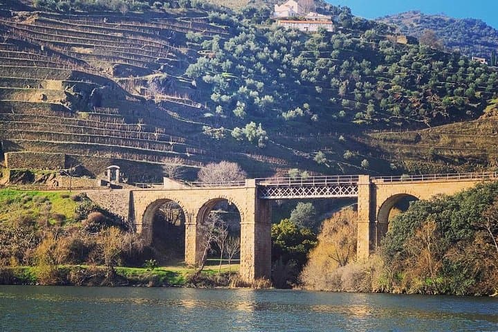 Tour privado de vino y comida por el valle del Duero desde Oporto imagen 3