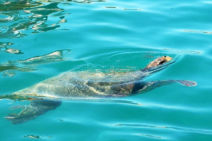 Zakynthos Private Tour with Coasts and Culture image 2