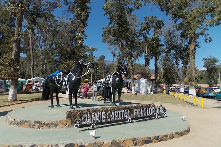 Tour Privado desde Santiago al Parque Nacional La Campana y Olmué imagen 3