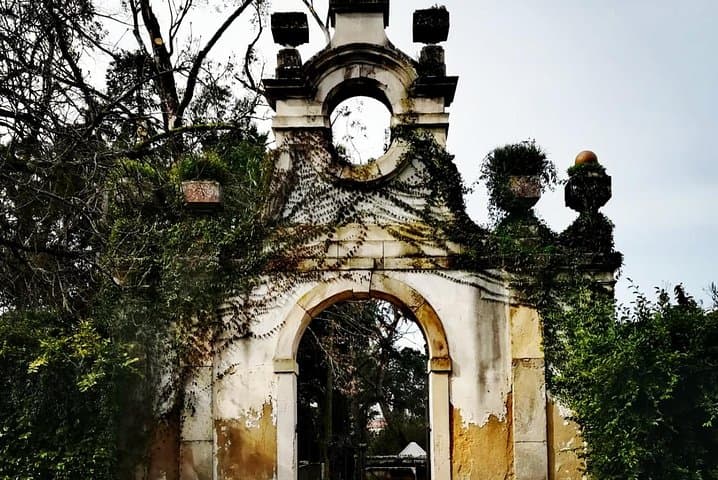 Tour privado a Aveiro, Costa Nova y Coimbra desde Oporto imagen 3