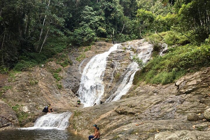 Excursión privada a Cameron Highlands Tea Country desde Kuala Lumpur imagen 3