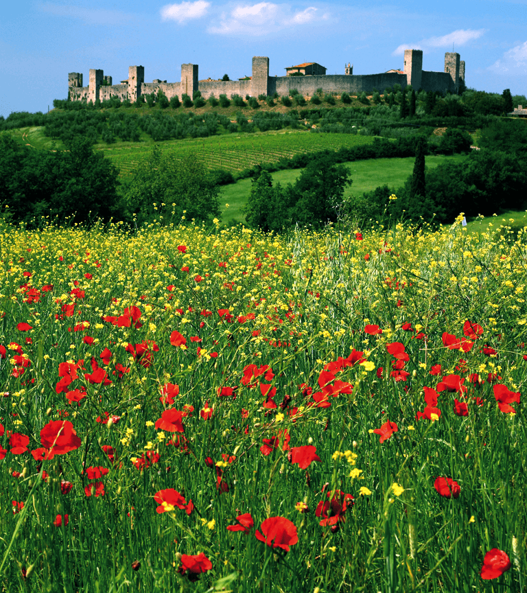 Chianti y sus castillos desde San Gimignano con catas imagen 6