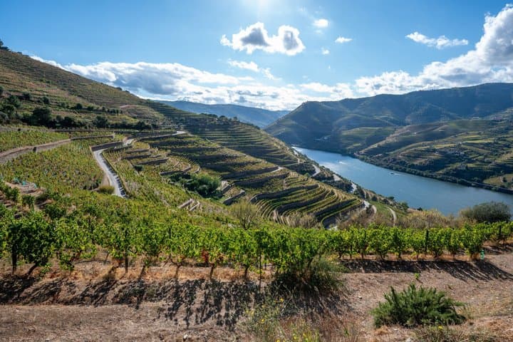 Excursión privada de un día al valle del Duero desde Oporto imagen 1